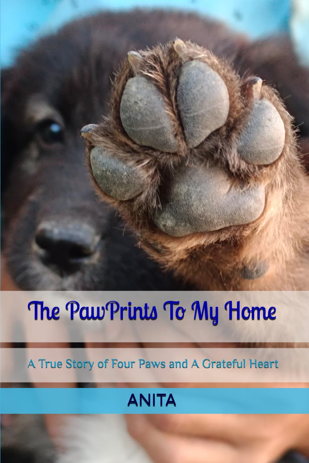 The PawPrints To My Home