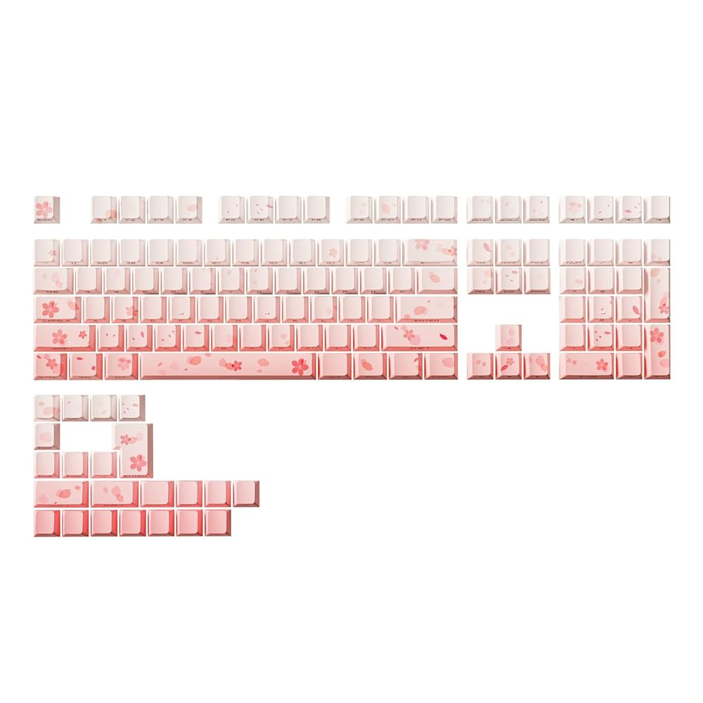 最も脆い所　日本語　3枚セット 楽天市場】クツワ STAD WORD'SWORLD 単語カード 小 SC108-70 中