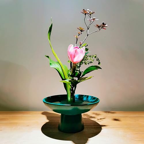 Miniatura 7 de WANDIC Rana de flores, 4 piezas redondas de plástico transparente Ikebana Kenzan Frogs Japonés Flower Arreglar el soporte con 3 ventosas para