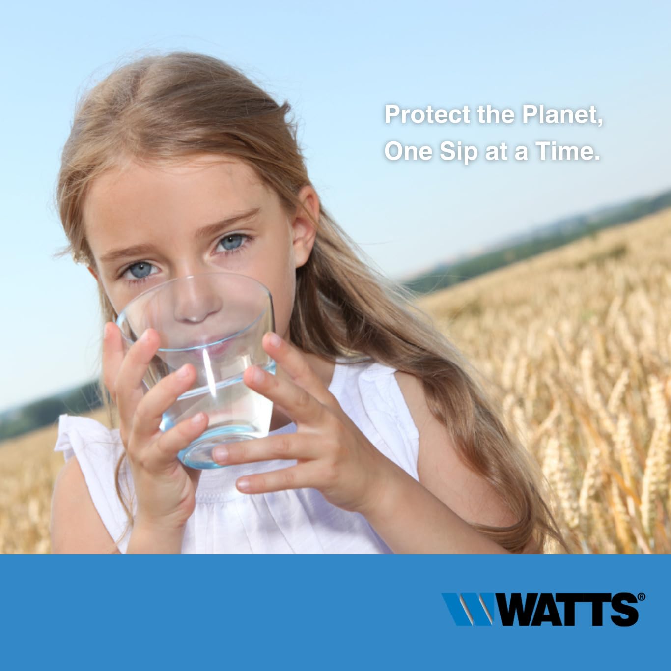 Watts FP10GT in-Line Carbon Filter Cartridge 1201 11 — view 3