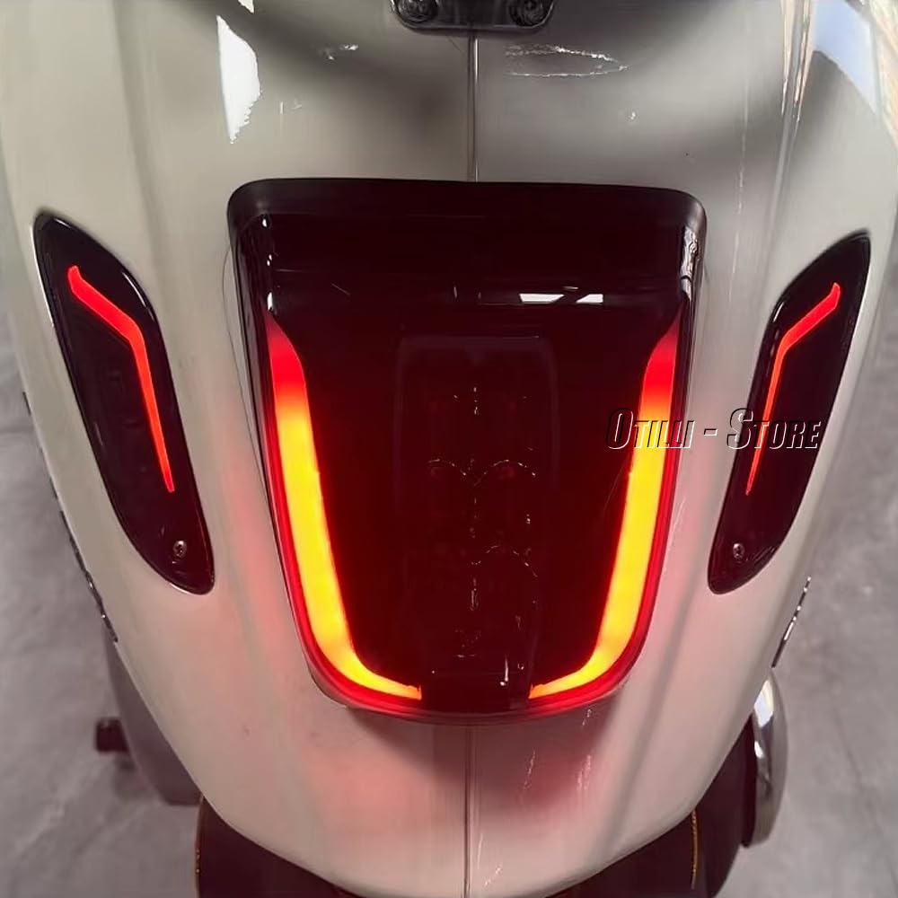 Amazon.com: Motorcycle Front/Rear LED Integrated Turn Signal Light