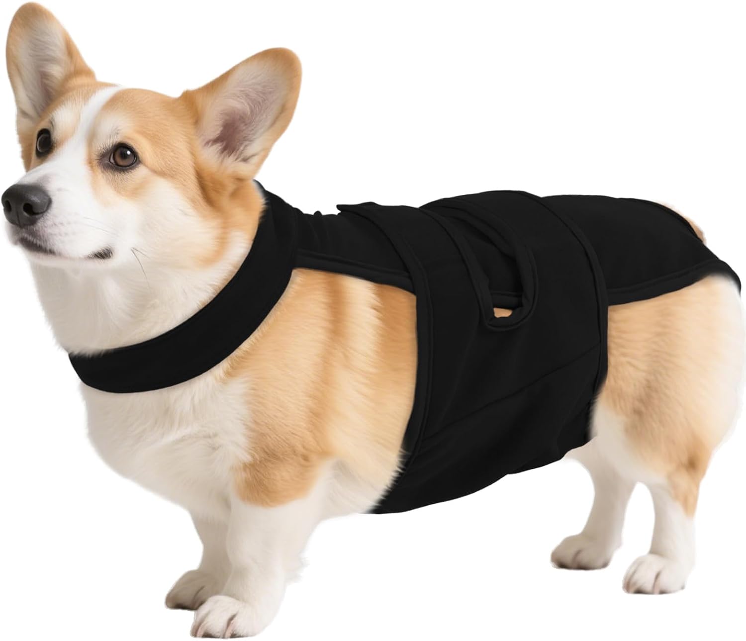 QBLEEV Female Dog Diapers with Adjustable Suspenders – Washable Sanitary Panties for Dogs in Heat or Incontinence, Escape-Proof Reusable Pet Period Underwear Onesie for Small to Large Breeds