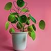 Product Photo 6