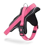 MyFamily Pettorina Cane in Poliestere Made in Italy, Dati Anagrafici del Tuo Cane Sempre Con Te