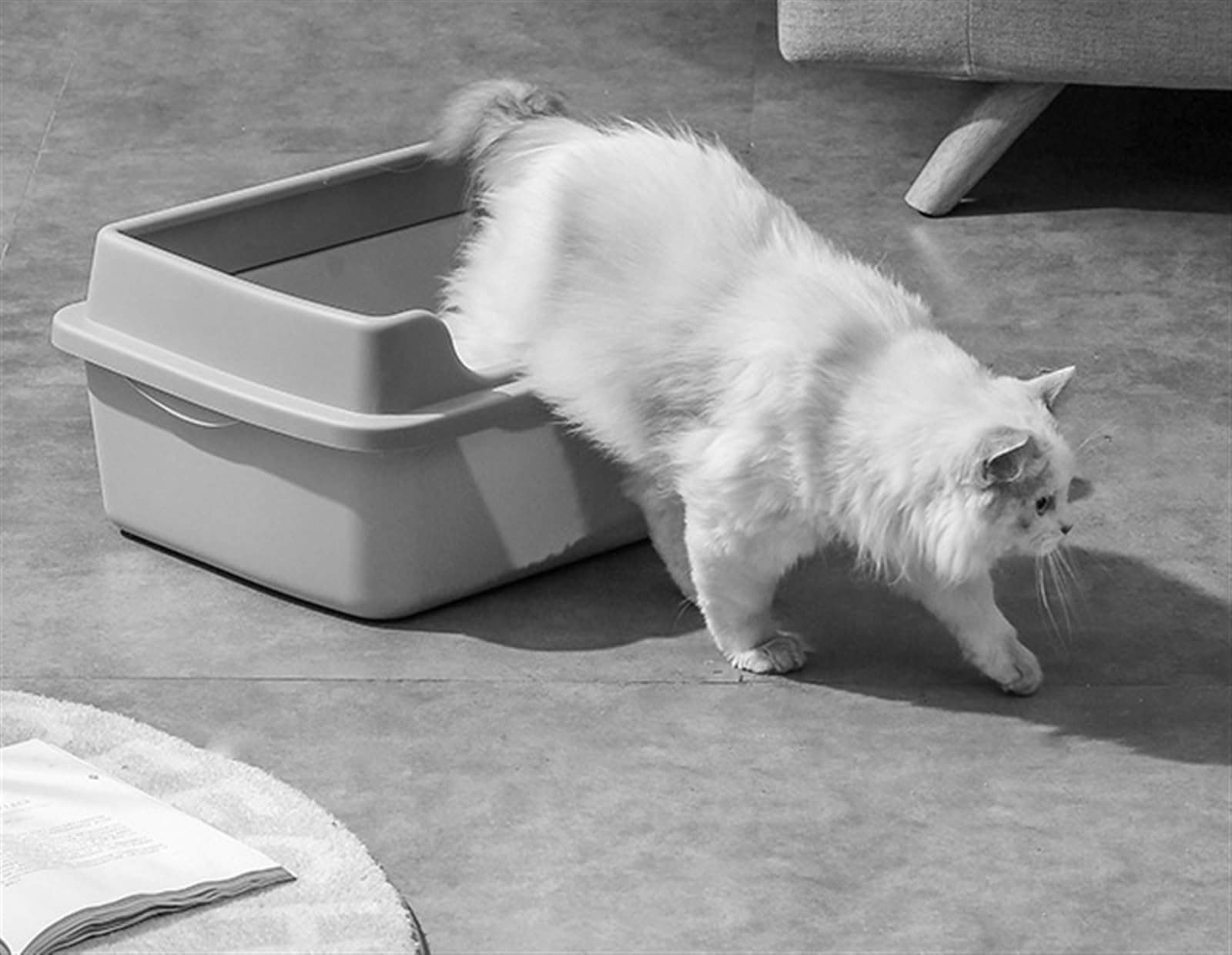 Toilette per Gatti, Lettiera per Gatti con Lettiera per Animali Domestici con Bordi Alti Rimovibili con Telaio per Piccoli Animali di Coniglio Gatto Toilette(Pink)