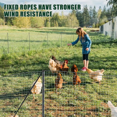 Image of SUNYRISY Garden Mesh Fence Temporary Safety Fencing, 40in x 98.4ft Garden Fence Animal Barrier with Steel Stakes, Fencing Netting for Construction Backyard Chickens Dog Poultry Deer