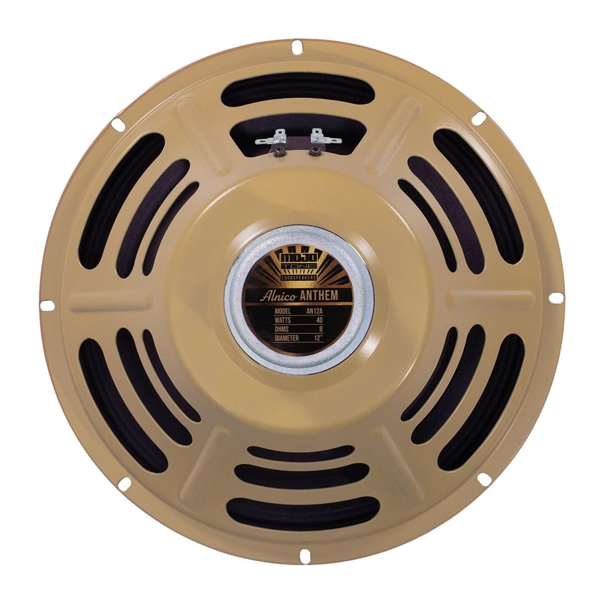 Amazon.com: Mojotone Alnico Anthem 12