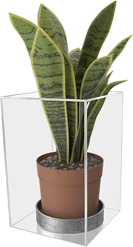 Miniatura 5 de Caja de exhibición de acrílico transparente de 8 x 8 x 12 pulgadas con un lado abierto, versátil contenedor de almacenamiento de productos Lucite