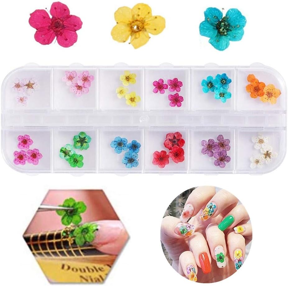 Valuu 3D Nail Art Dried Flowers Sticker 12 Colors Natural Real Dry Flower Nail Art Decoration Lovely Five Petal Flower Beauty Nail Stickers for 3D Nail Art Acrylic UV Gel Tips