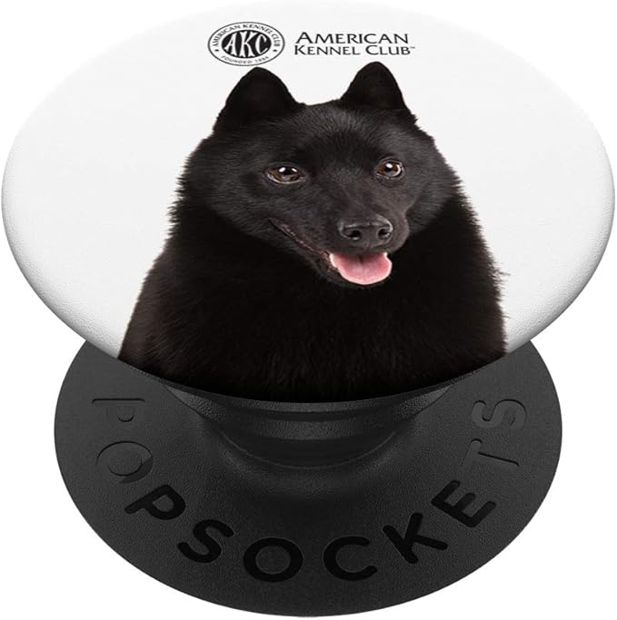 schipperke kennel