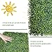 ODTORY Artificial Boxwood Roll: 40x120 in (33.5 sqft) UV-Anti Faux Ivy Boxwood Hedge Leaf Grass Wall for Patio Balcony Privacy, Garden, Backyard Greenery Wall Backdrop and Fence Decor