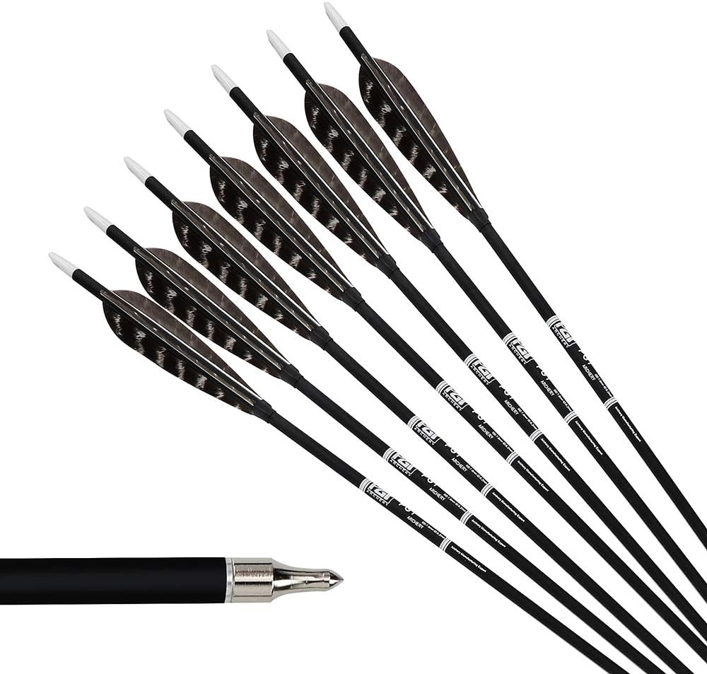 PG1ARCHERY 30 Inch Archery Targeting Arrows Hunting Practice Carbon