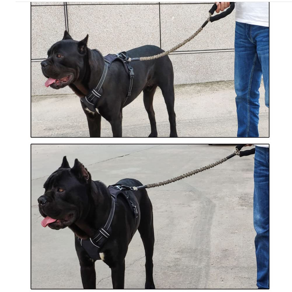 WDDT Laisse Chien Élastique, en Nylon, Corde Solide Anti Traction ​Grande Taille, Élastique pour Animaux Compagnie, avec Poignée Rembourrée, Chiens Grands et Petits