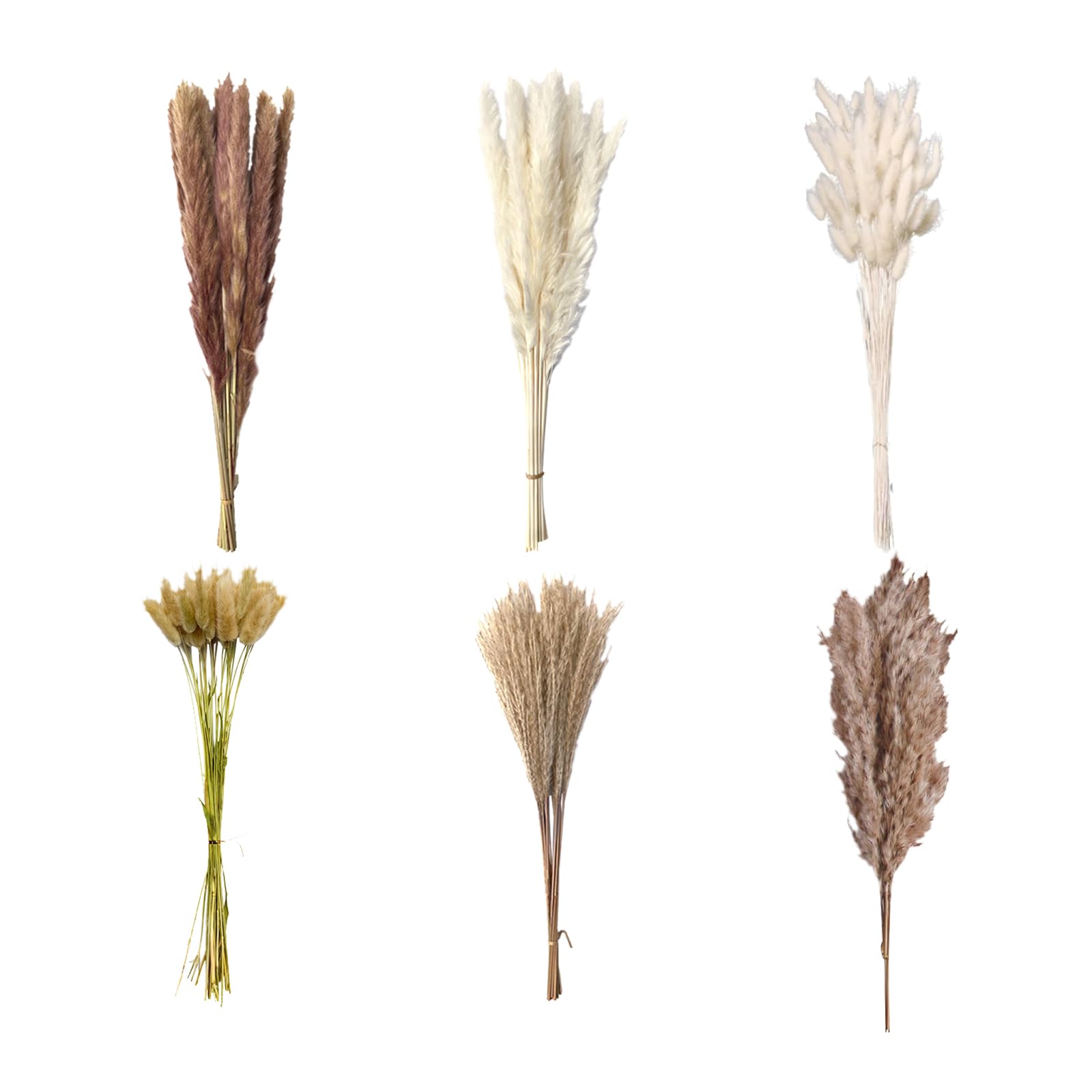 Décoration en Pampas Séchées Pampa Naturelle Décoration Fleurs Séchées Bouquet Décor Pampas avec des Fleurs Séchée de Queue de Lapin, pour Déco Intérieur, Chambre, Boho Mariage (120)
