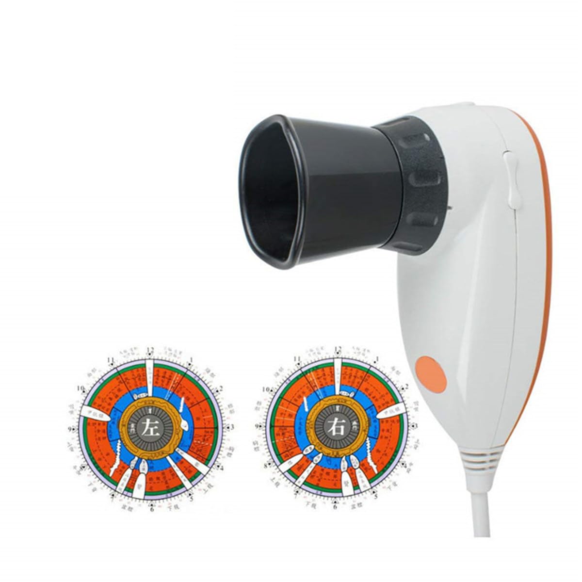 Rilevatore Portatile dell'iride, Telecamera per l'analisi dell'iride, analizzatore USB da 5,0 M Pixel/Telecamera per l'analisi dell'iridologia HD 30x Lente per l'iride e analisi dell'iride