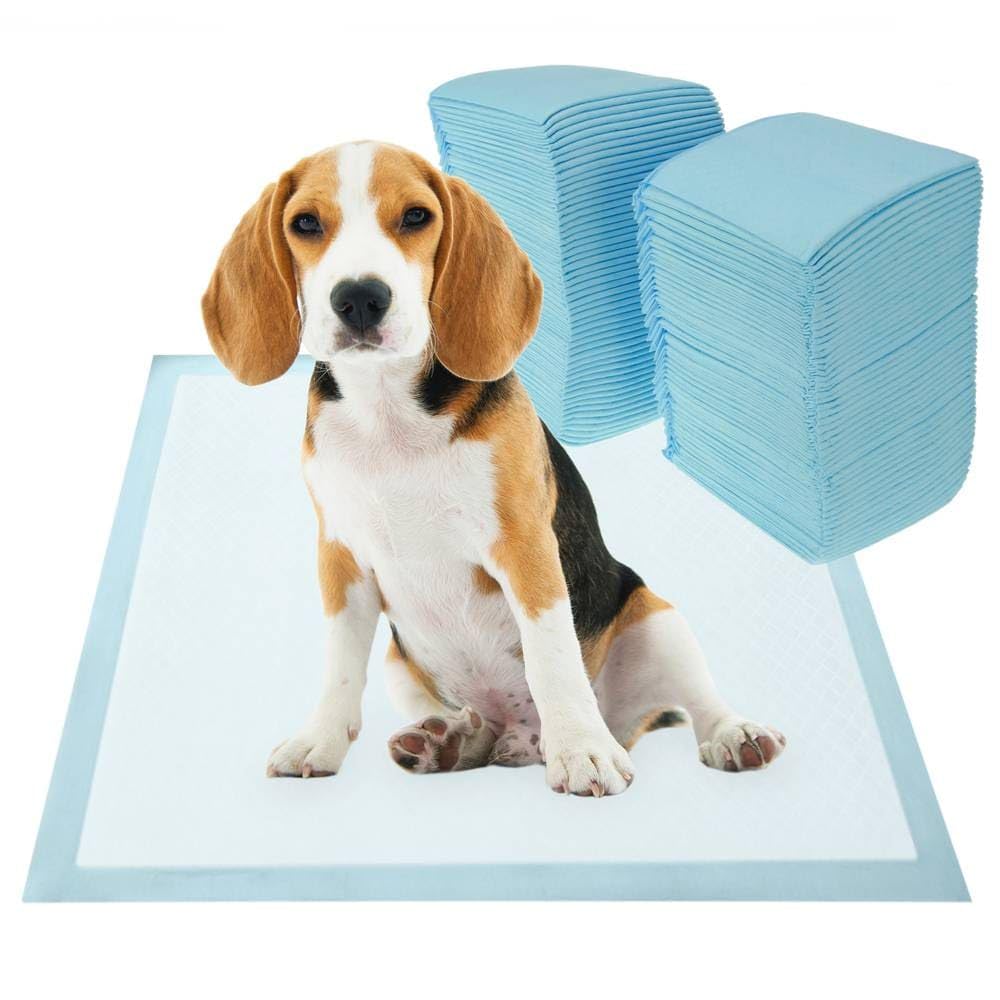 Empapadores Perros 60x60 cm CIVINZON 100 Unidades Ultra absobente de micciones, Alfombrillas Higienica Desechables para Mascotas, Resguardos para Cães, Resistente, Atrayente y a Prueba de Fugas