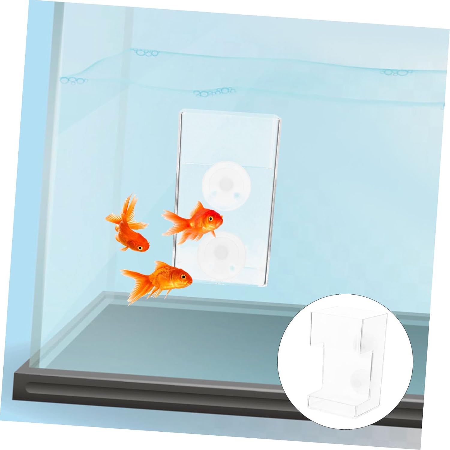 Milisten 5pcs Aquarium Feeder Reusable Fish Feeding Ring Fish Feeder Fish Feeding Supply Fish Feeding Rings Small Aquarium Ring Aquarium Accessory Aquarium Supplies Feeding Holder, As Shownx5pcs