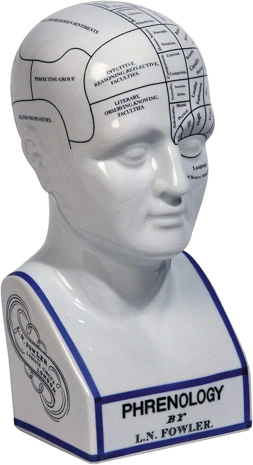Głowa frenologiczna L.N fowler porcelana ceramiczna frenologia 30,5 cm głowica ceramiczna antyczna off crackle glazura