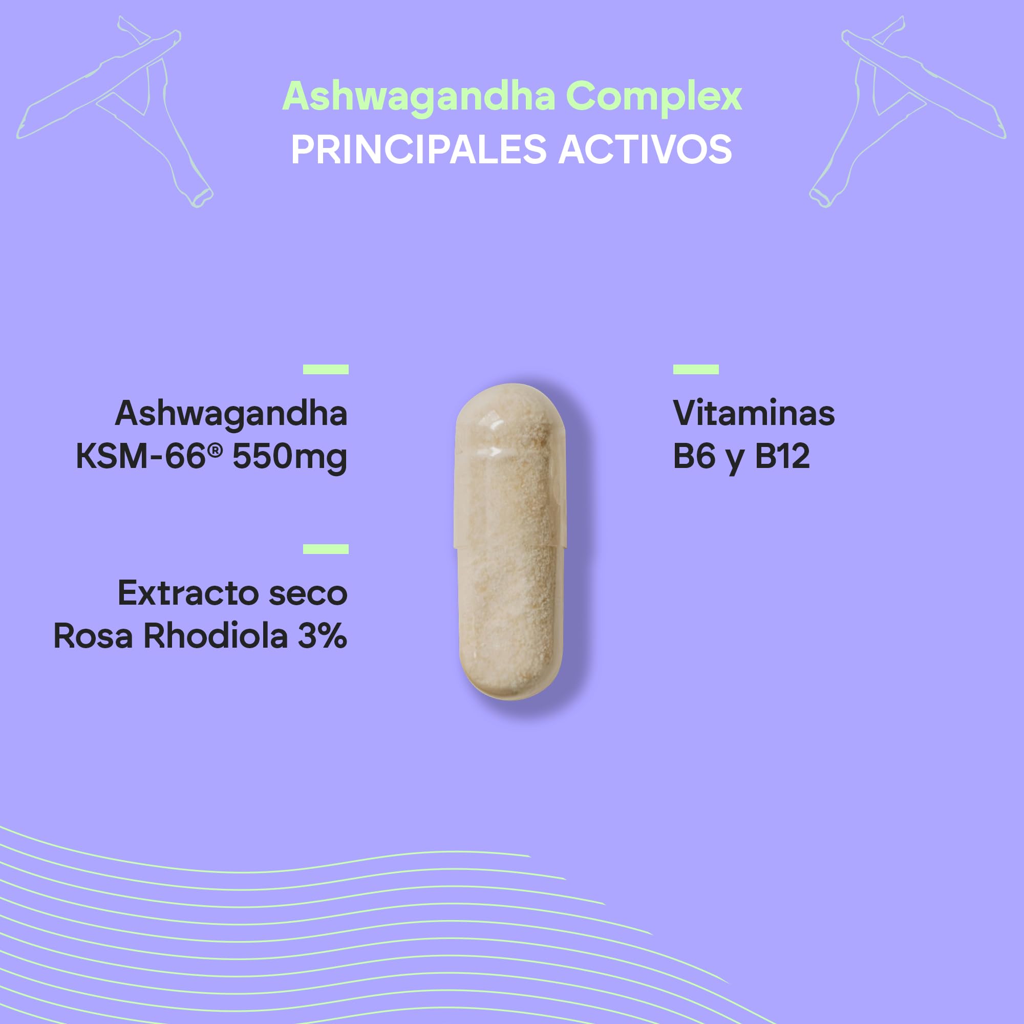 Ashwagandha KSM-66 - Rhodiola Rosea Vit B6 B12 - Ginseng Indio BIO-disponible con 5% de Whitanólidos y Vitaminas B6 y B12-60 Cápsulas Veganas Nutralie