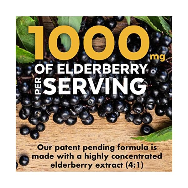 Viva-Naturals-Elderberry-Vitamin-C-Zinc-Vitamin-D-5000-IU-Ginger-Antioxidant-Immune-Support-Supplement-2-Month-Supply-120-Capsules-5-in-1-Daily-Immune-Support-for-Adults Viva Naturals Elderberry with Vitamin C and Zinc for Adults - 5 in 1 Sambucus Black Elderberry Capsules with Vitamin D3 5000 IU, Elderberries Immune Support Supplement 2 Months Supply Pills