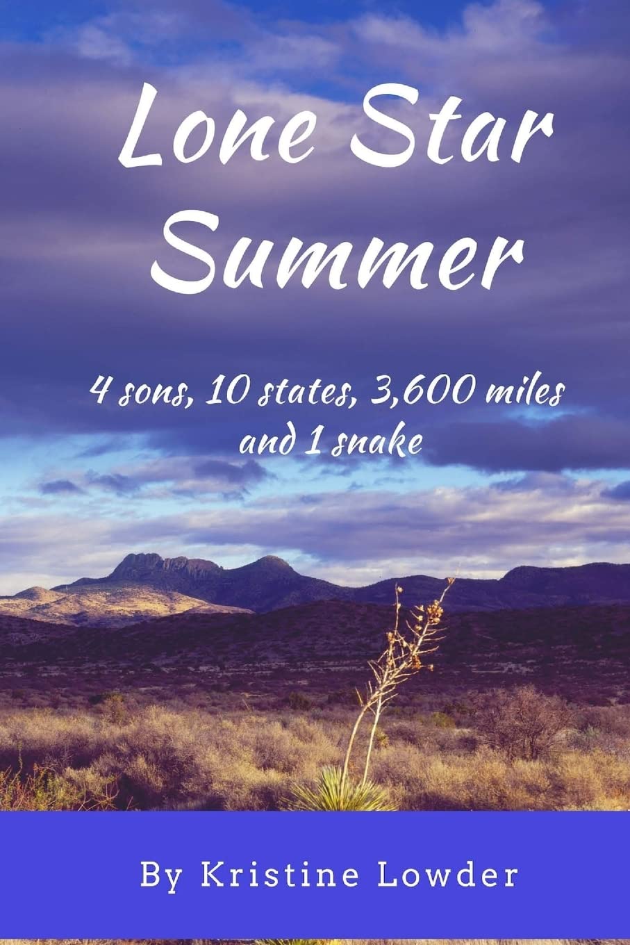 Lone Star Summer: 4 sons, 10 states, 4,200 miles and 1 snake