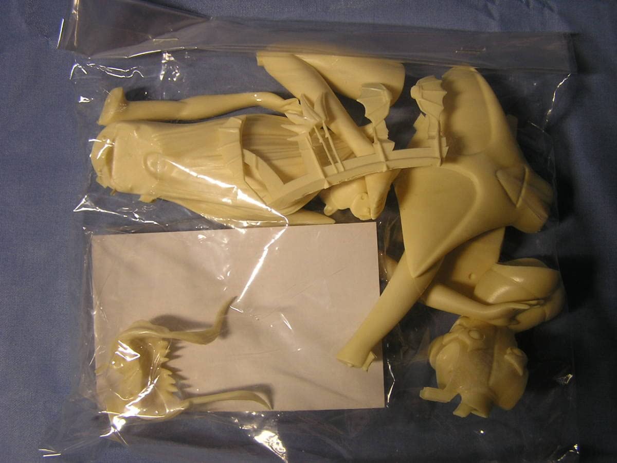 Amazon.co.jp: 万能文化猫娘 NUKUNUKU ヌクヌク 1/8 水着バージョン