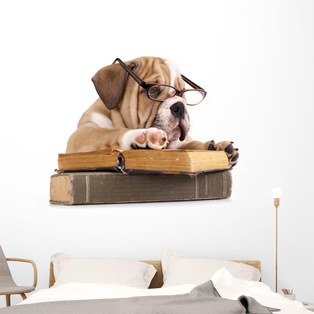 FOT-34447438-60 WM54093 Dog Purebred English Bulldog in Glasses with Book Peel and Stick Wall Decals, 60 W x 44 H-Jumbo