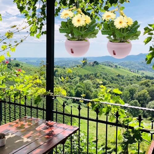 Pot de fleurs suspendu pour optimiser l'espace des orchidées en intérieur