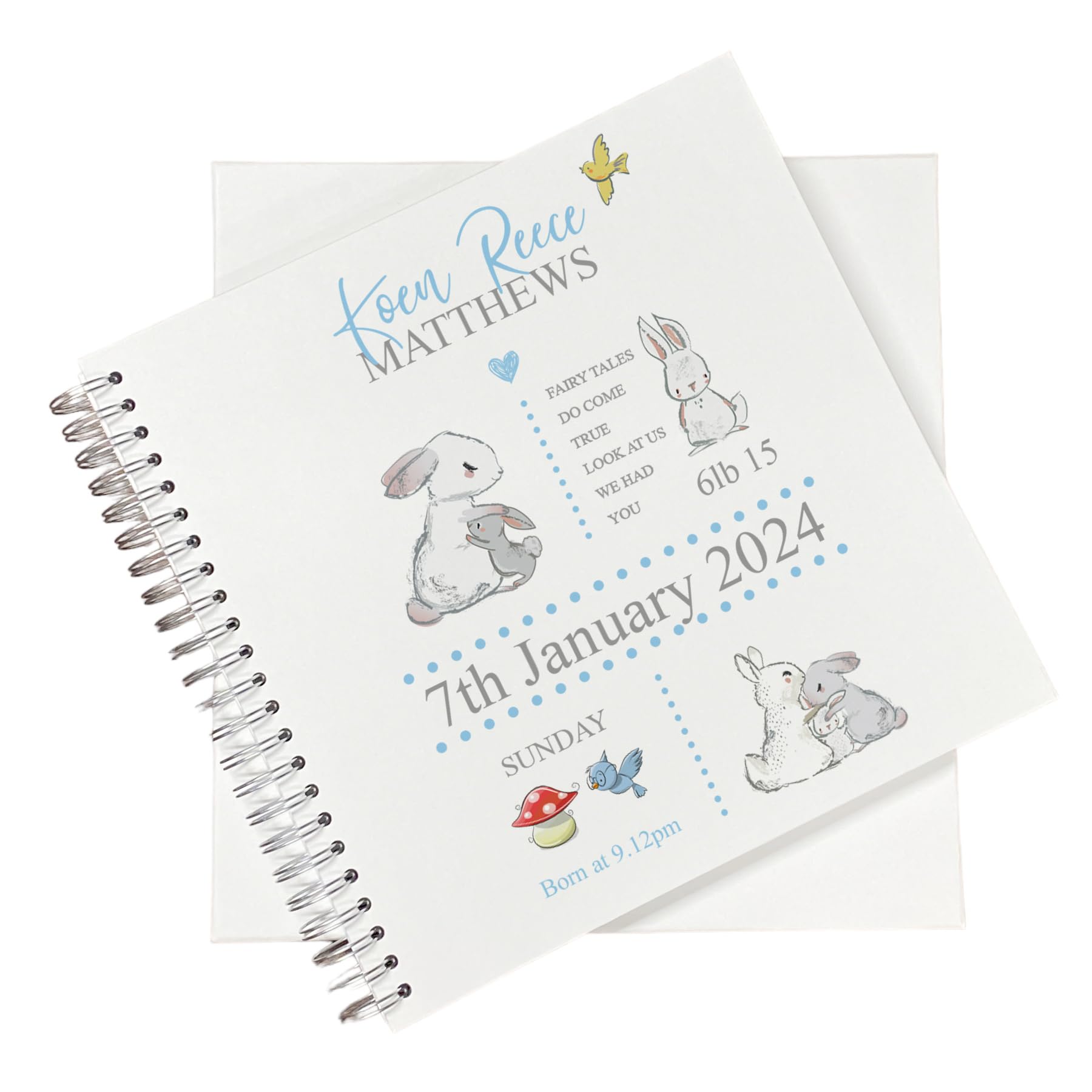 Large Baby Boy Photo Album Scrapbook Birth Record Book Boxed With Rabbits
