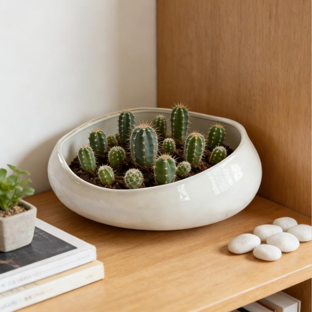 Ciotola per Frutta Irregolare in Ceramica, 21 CM, Adatta Per Piani di Lavoro, Come Decorazione da Tavolo in Ceramica, Lavabile in Lavastoviglie e Microonde (Bianco Grigiastro)