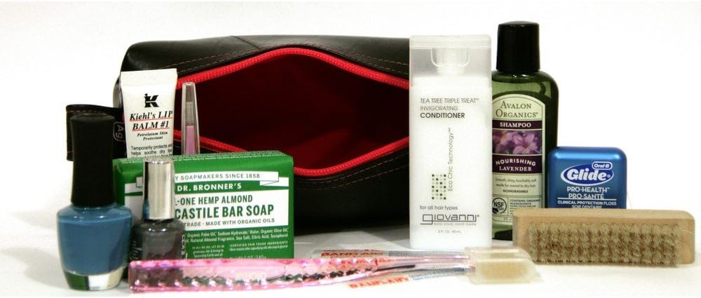 Alchemy Goods Elliot Mini Travel Kit
