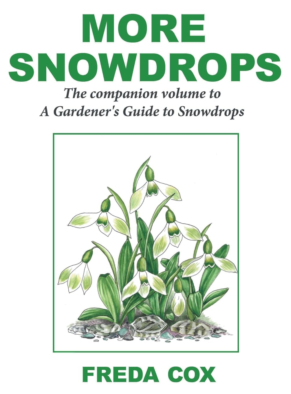More Snowdrops: The Companion Volume to A Gardener's Guide to Snowdrops