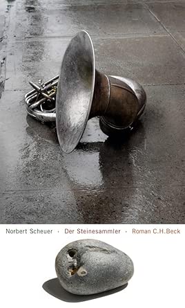 Der Steinesammler: Roman book cover