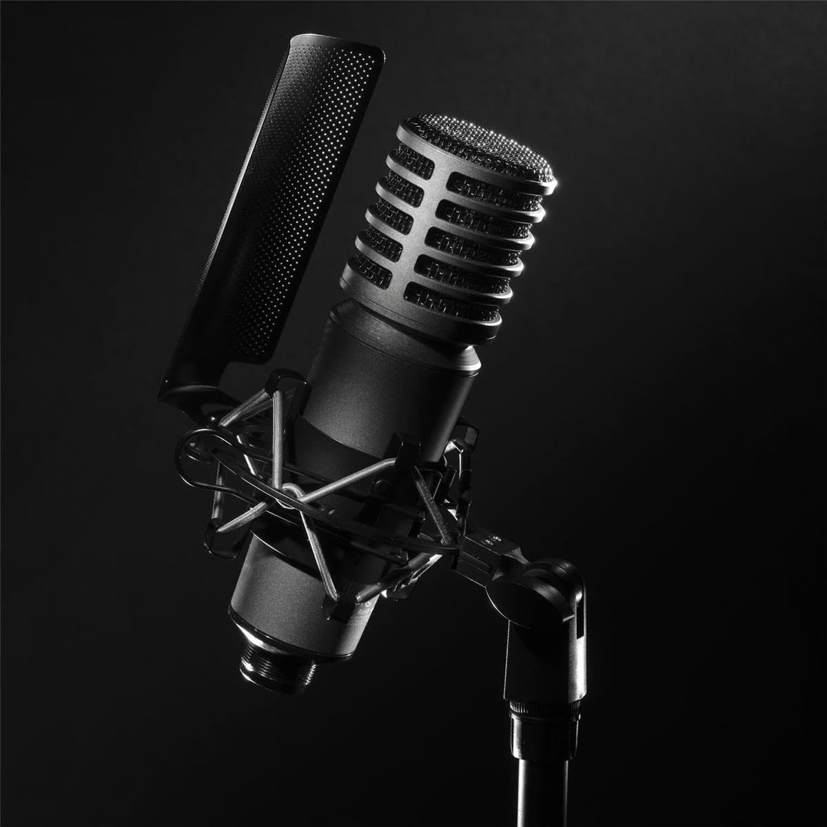 Godox XMic100GL Microfono da studio XLR a condensatore cardioide a diaframma largo