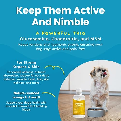 Miniatura 8 de Vitaminas y suplementos 100 % naturales para perros  Multivitamina líquida para perros  Vitaminas para perros mayores  Multivitaminas para perros 8X