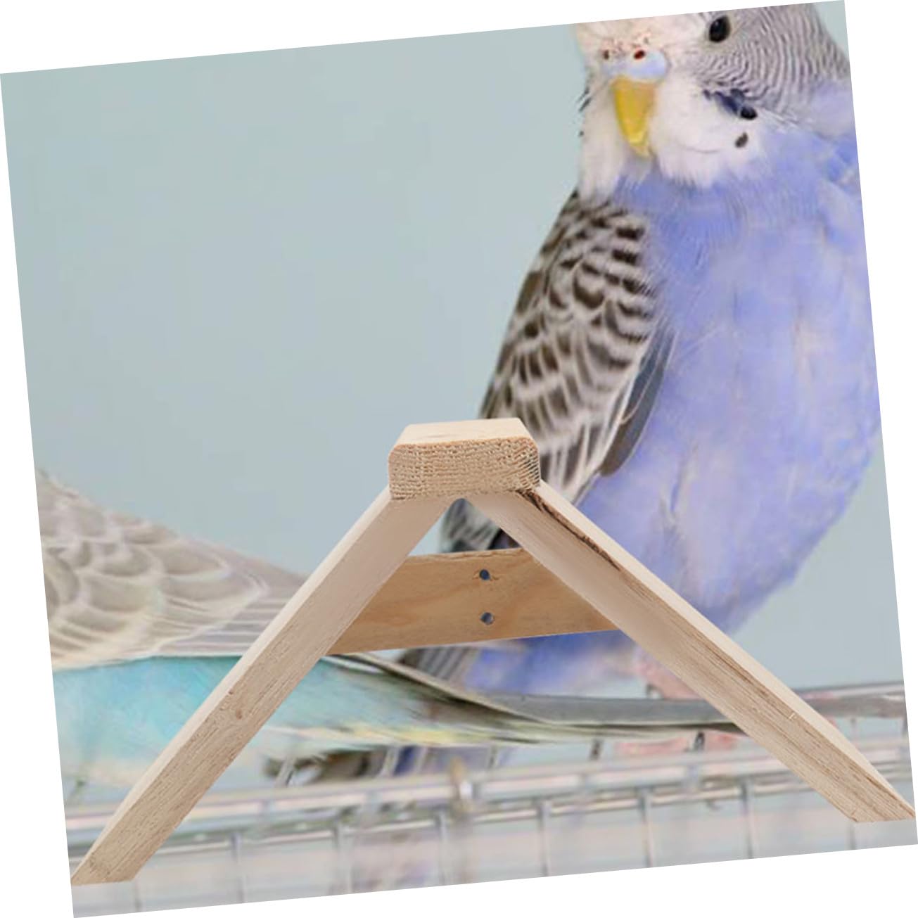 5 Perchas para Jaulas de Aves de Madera, Soporte Móvil de Madera para Loros, Juguetes Complementos para Aves