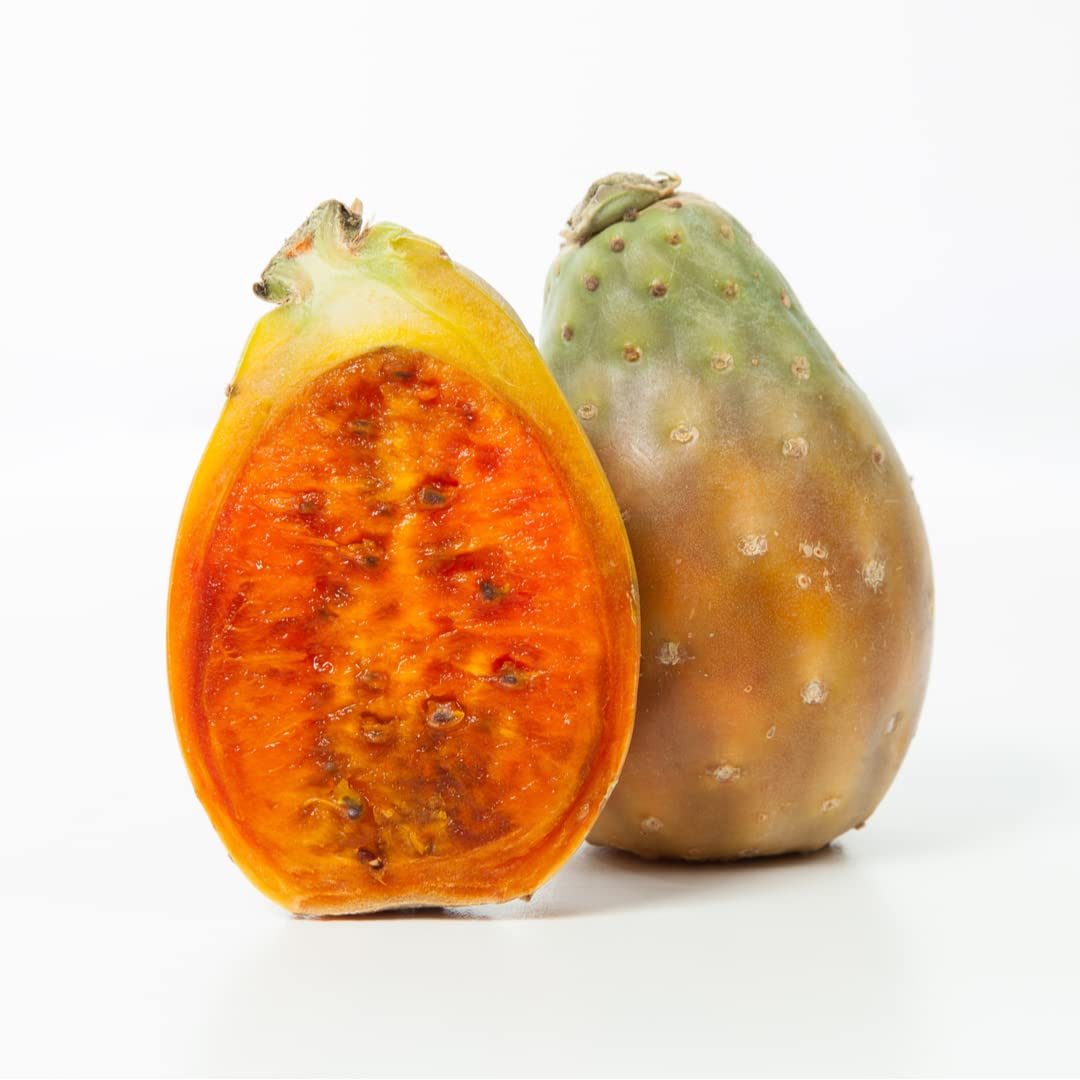 Sponsored Ad – Prickly Pear x 4