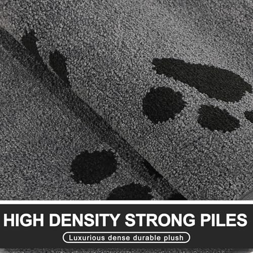 Mibao Türmatte Inenn 50 x 80 cm, Schmutzfangmatte für den Eingang und Hintertür, rutschfeste Fußmatten, maschinenwaschbar, weicher Haustierteppich für schlammige Schuhe und Pfoten, Grau