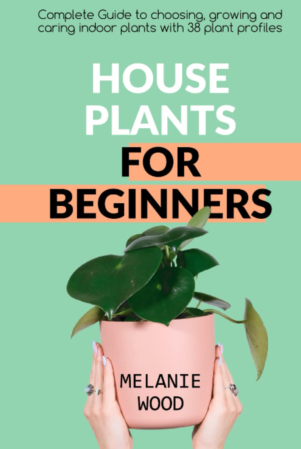 Houseplants for Beginners: guide to choosing, growing and caring indoor plants