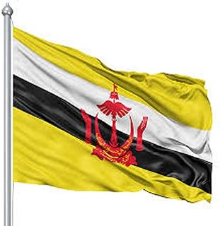 Brunei 3x5 Ft Poly Flag with Brass Grommets