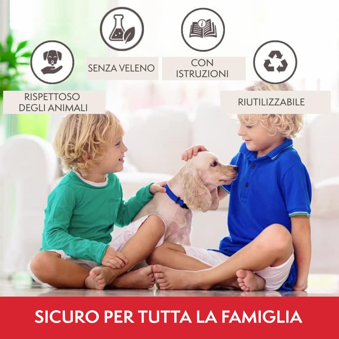 PATTLER® Trappola per Topi Vivi - Trappole per topi da Esterno e Interno - Trappole topi utilizzabili con esche per topi di vario genere - Trappola per Topi Grandi e Piccoli topi - Transparente 1 Pz