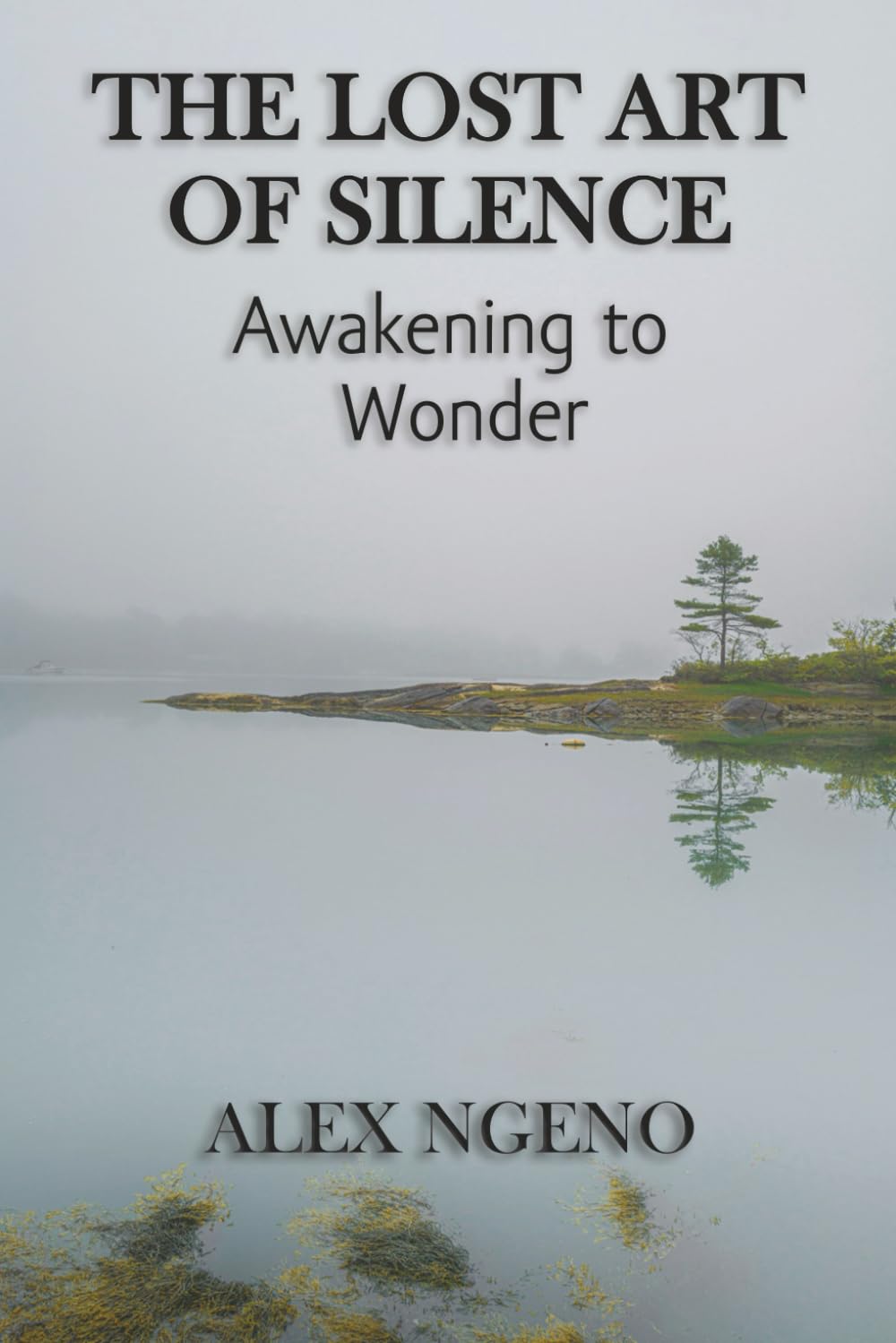 The Lost Art of Silence: Awakening to Wonder