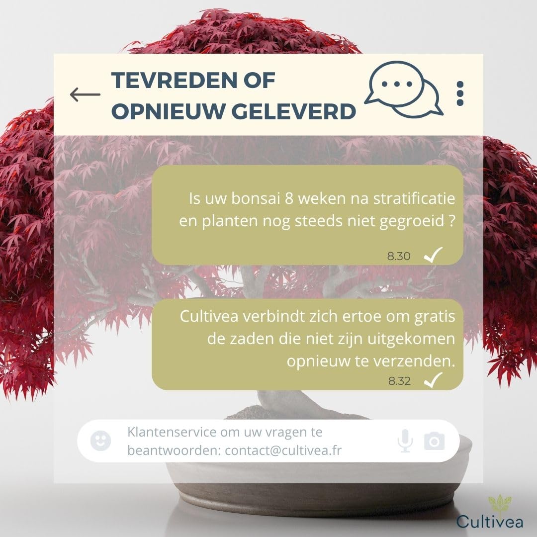 CULTIVEA® Eerste Bonsai Kweekset – Complete Doe-Het-Zelf Kit met Zaden & Accessoires – Origineel Cadeau-Idee (Carmona) (Cornus Kousa