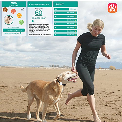 tuokiy pet tracker