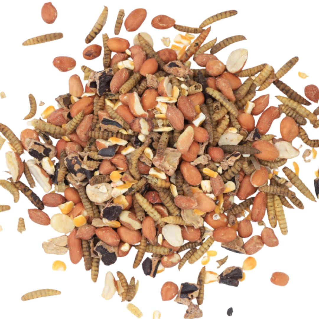 Kennedy Wild Badger Food 13kg with Whole Peanuts, Calciworms, Kibbled Maize, Dried Meal Worms, Locust & Carob Beans. Badger & Fox Food Mix with Nuts, Worms & Corn.