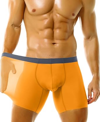 Mens Sexy Ice Silk Sheer Boxer Briefs See Through Underwear Trunks | Breathable Stretch, Bulge Pouch Support, Long-Leg Boxers