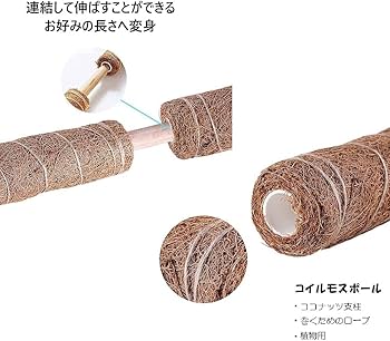 Amazon | lanzoub 園芸支柱 4本セット 植物支柱 観葉植物モンステラ Amazon | lanzoub 園芸支柱 4本セット 植物支柱 観葉植物モンステラ