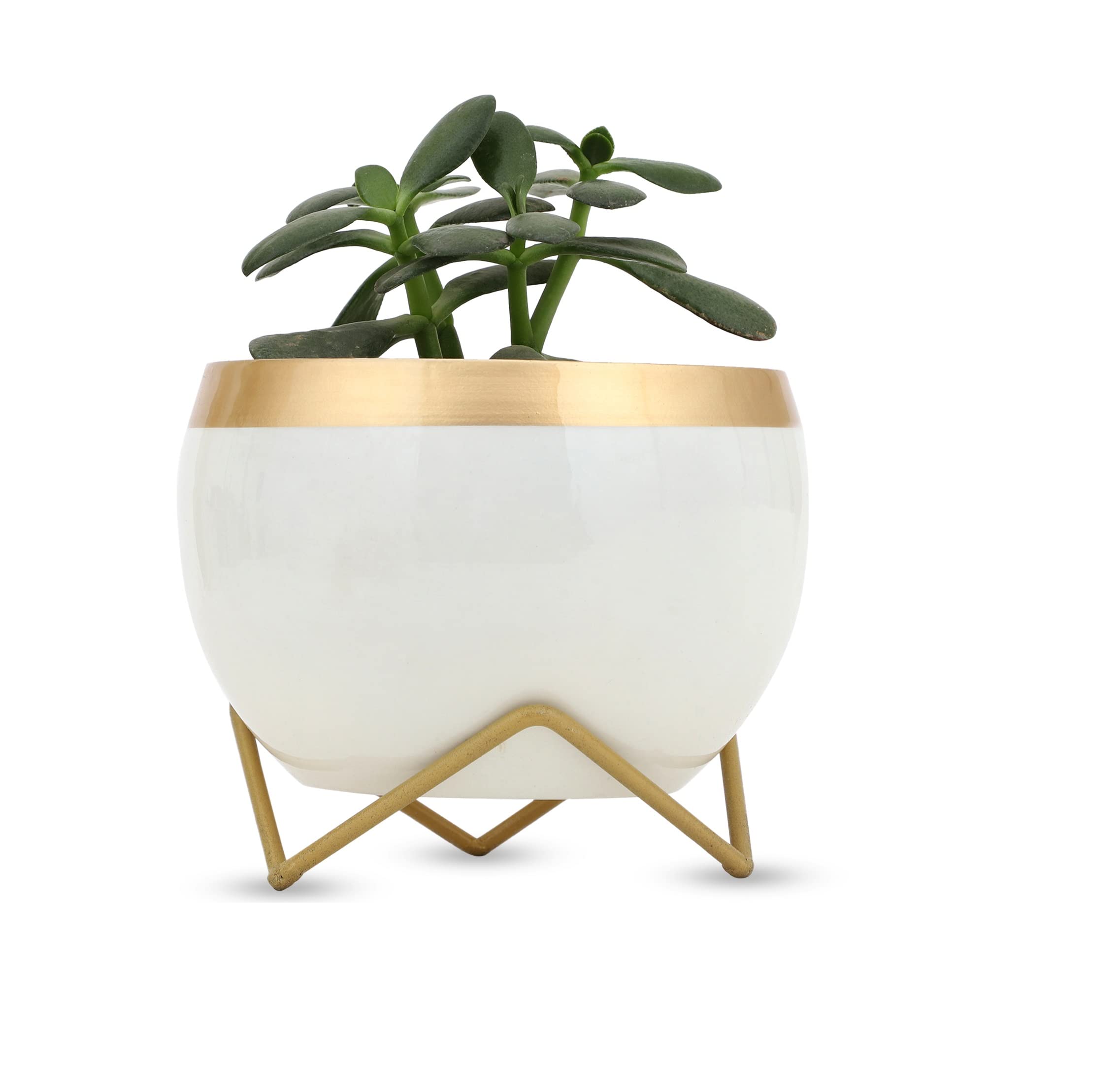 vudy Indoor Plant Pots with Stand - Modern Planter -9