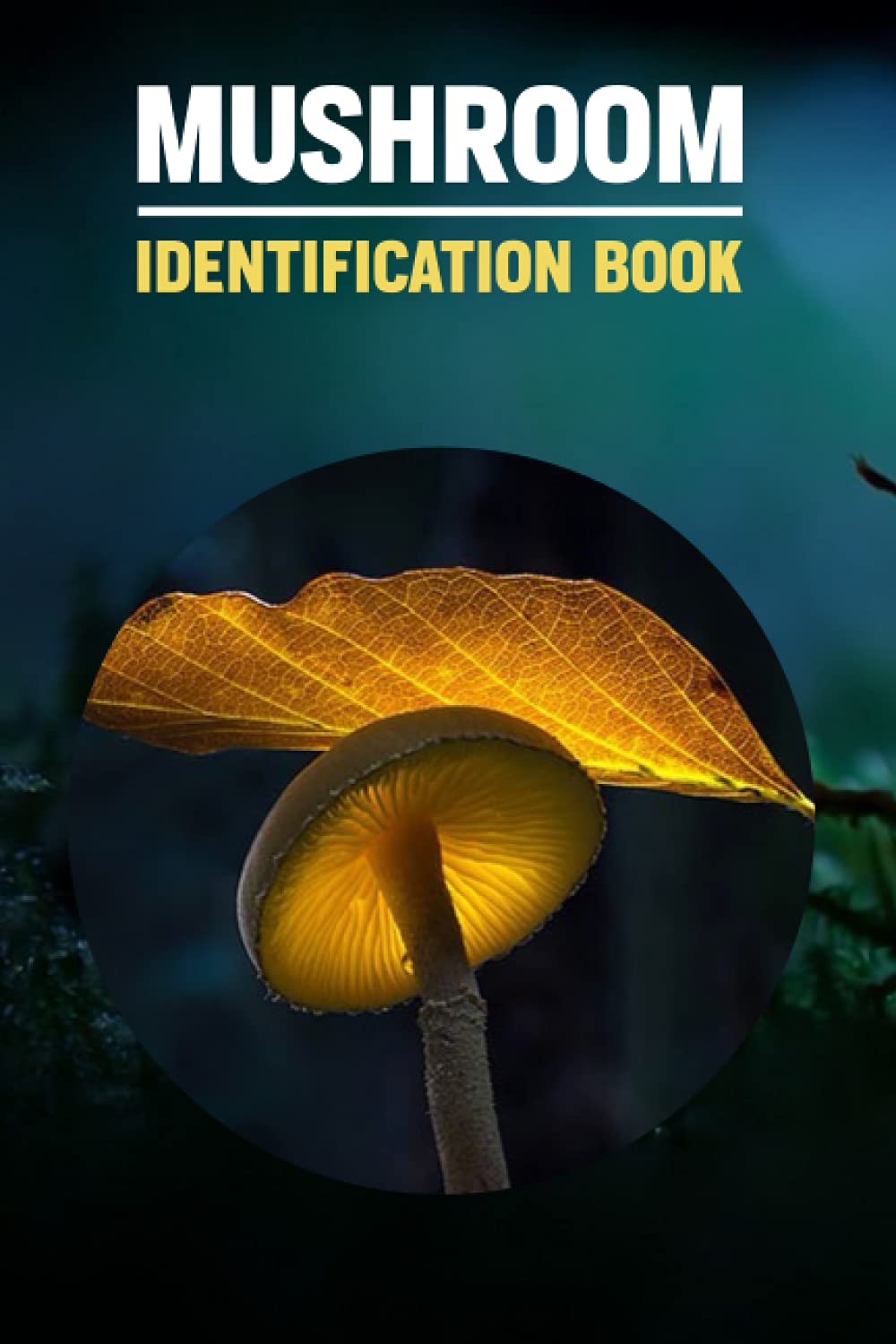 Mushroom Identification Book.: Wild Mushroom Identification Log Book, Mushroom Identify journal & Record Book For Adults Or Kids.