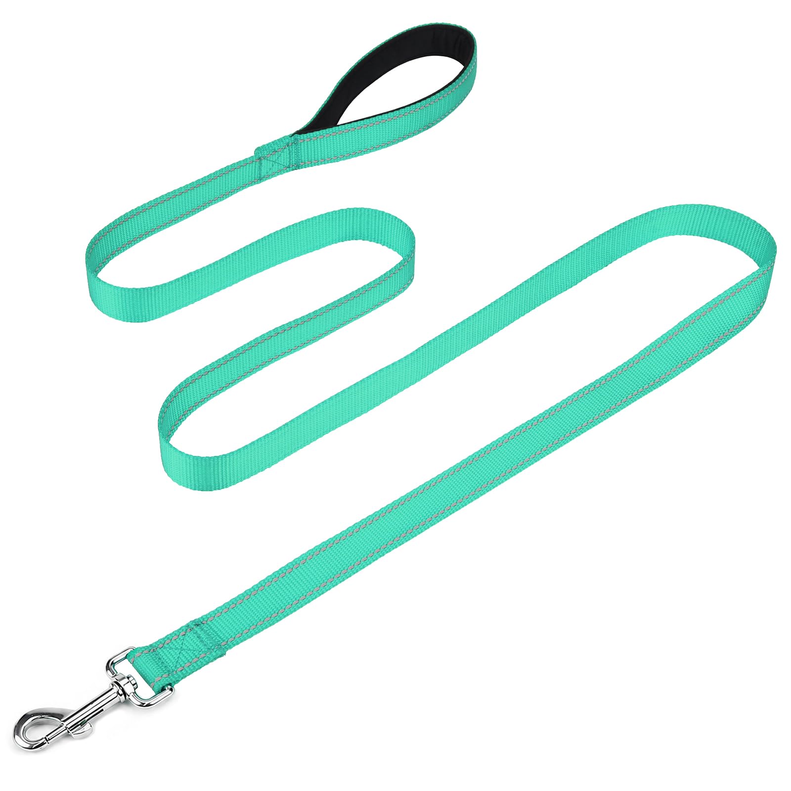 FunTags Reflective Nylon Dog Leash for Small & Medium Dogs, 6FT for Walks